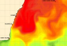 ondata caldo marino sydney