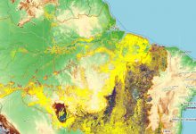 amazzonia deforestazione brasile