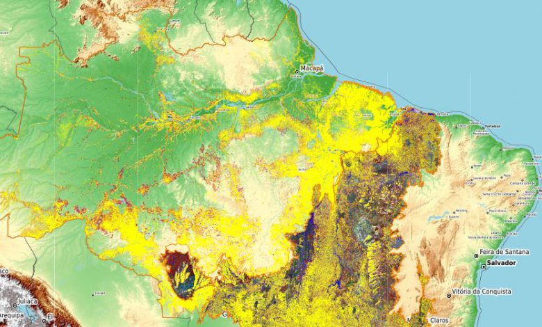 amazzonia deforestazione brasile