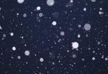 neve