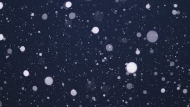 neve