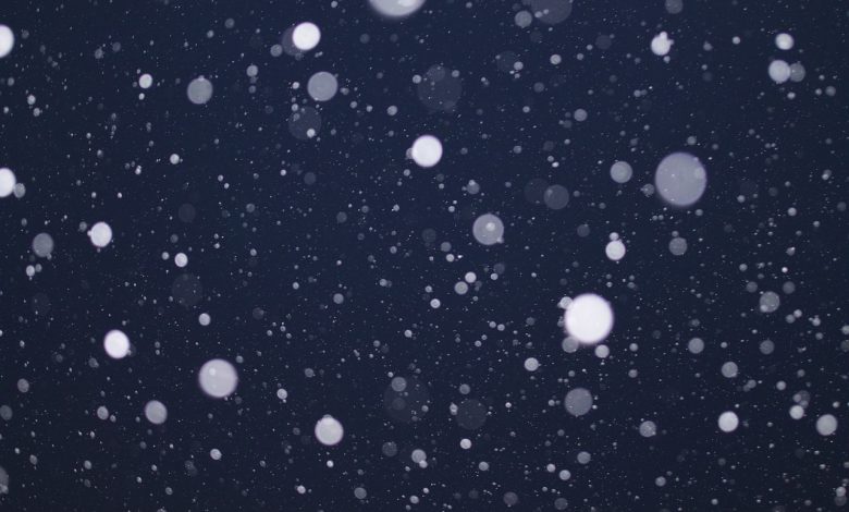 neve