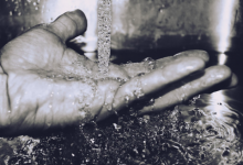 acqua