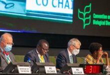 biodiversità COP15