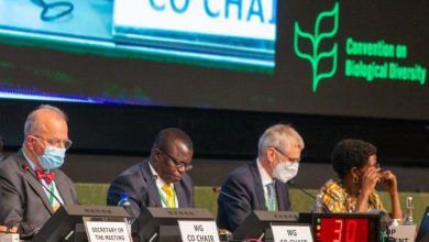 biodiversità COP15