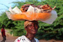 plastica monouso kenya
