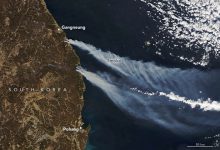 Incendi Corea del Sud