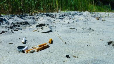 Divieto di fumo in spiaggia