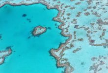 grande barriera corallina australia