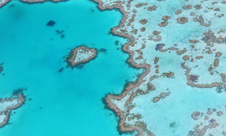 grande barriera corallina australia