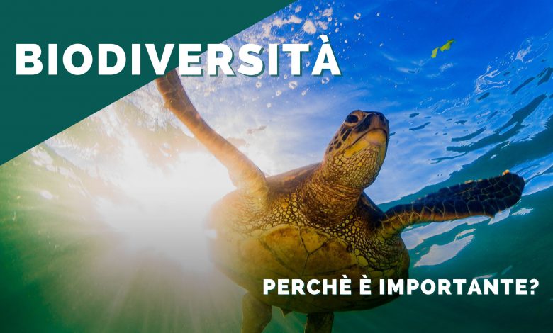 biodiversità