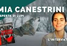 lupi italia mia canestrini