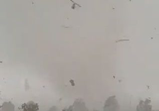 Tornado