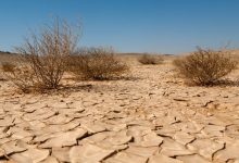 desertificazione e siccità