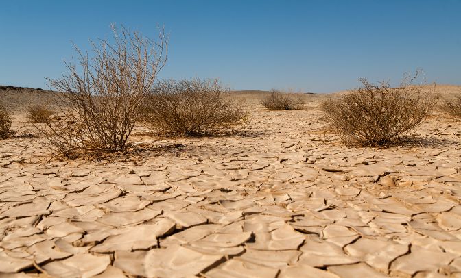 desertificazione e siccità