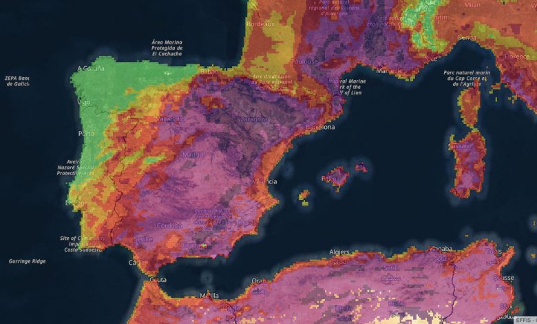 Spagna incendi