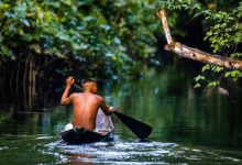 amazzonia giornalista scomparso brasile
