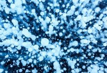 metano crisi climatica