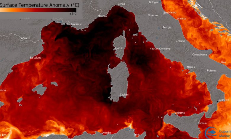 Mare Mediterraneo caldo