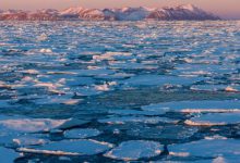 groenlandia ghiacci innalzamento mare