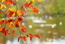 meteo autunno