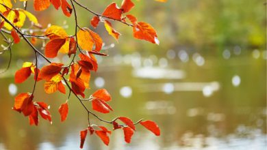 meteo autunno