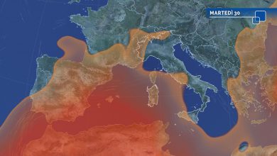 meteo