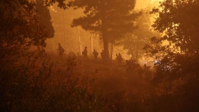 california incendi mosquito fire