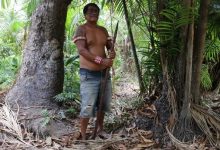 amazzonia indigeni survival