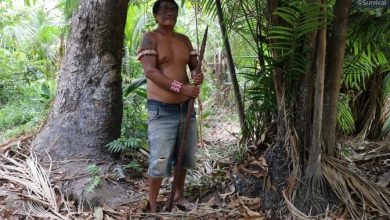 amazzonia indigeni survival