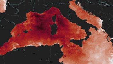 ondata di caldo mediterraneo estate 2022