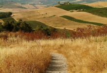 mediterraneo