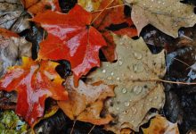 meteo novembre halloween