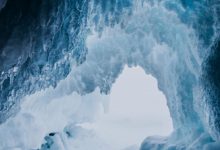 virus ghiacci permafrost pandemia