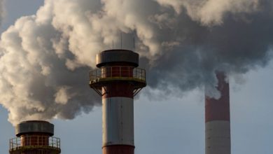 COP29