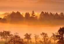 meteo ottobre sole nebbia