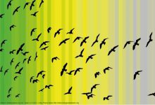 biodiversità
