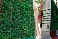 CityTree