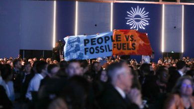 cop27 fossili emissioni