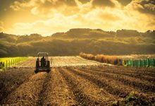 cambiamenti climatici
