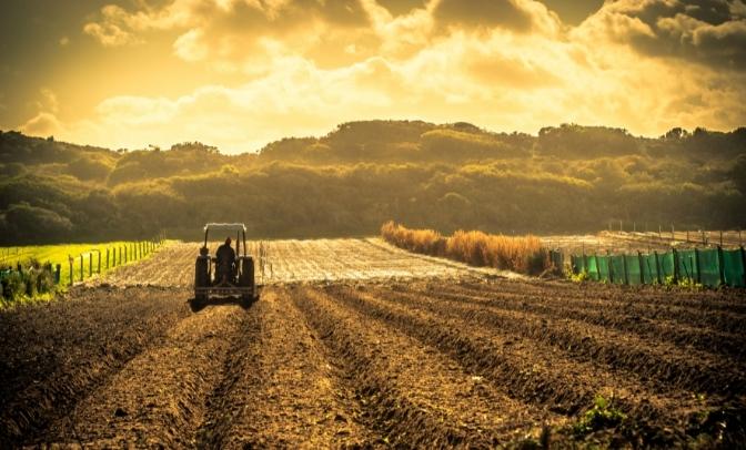 cambiamenti climatici