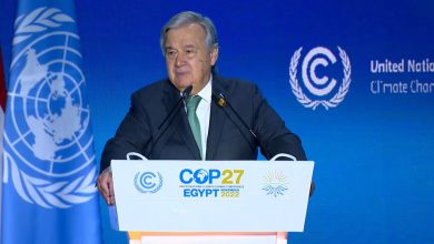 cop27 guterres perdite e danni