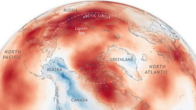 artico cambiamenti climatici