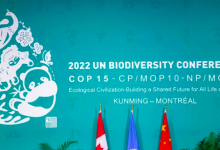 cop15