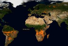 incendi 2022 emissioni