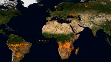 incendi 2022 emissioni