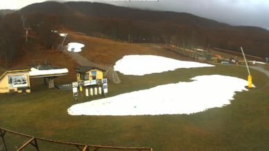 neve