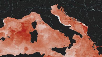 mediterraneo caldo gennaio