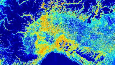 Siccità: lo stress idrico della vegetazione al Nord-Ovest ad inizio febbraio 2023. Fonte Sentinel-2