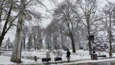 neve belgrado